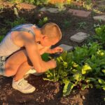 Rose Namajunas Instagram - Community garden coming along. Nature has been great to us this season. It’s been pretty self sufficient and low maintenance so far. Grateful and blessed I can disperse my energy to other important things 💕