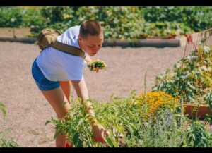 Rose Namajunas Instagram - #bearfruit #plantaseed #communitygarden @rvca @denverurbangardens