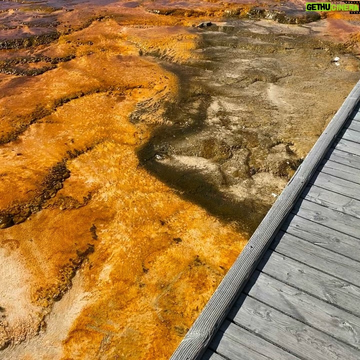 Ross Lynch Instagram - Yellowstone photo dump pt 1. What a wonderful trip. Take some time to see some nature. You won’t regret it! Yellowstone National Park
