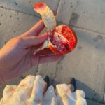 Rowan Blanchard Instagram - 1) The most exciting thing about yesterday was the blood orange that stained my hand 2) Sontag’s diary answer to How does one know one’s own feelings? 3) throwback to Irma Vep 🦹‍♀️ 4) this weeks guiding message🕯 5) Marilyn aiming 6) my hair is long enough for two pigtails like boo from Monsters Inc 🍼 Deep in My Mind, Somewhere with You!