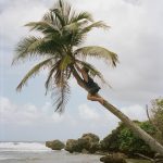 Rudy Pankow Instagram - “Good news guys… we’re stranded on some tropical island.” “So like… what’re we gunna eat?” “Sand.” “Actually… the tropics provide an abundance of grub…” “Shut up- like what.” ….. “COCONUTS BABY!!! One of the few grubs that provides you with food and beverage!”