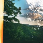 Rudy Pankow Instagram - Hope y’all enjoy some double exposure’sure… then my rock sculpture for alittle twist. 📸RollieFLEX 2.8 120