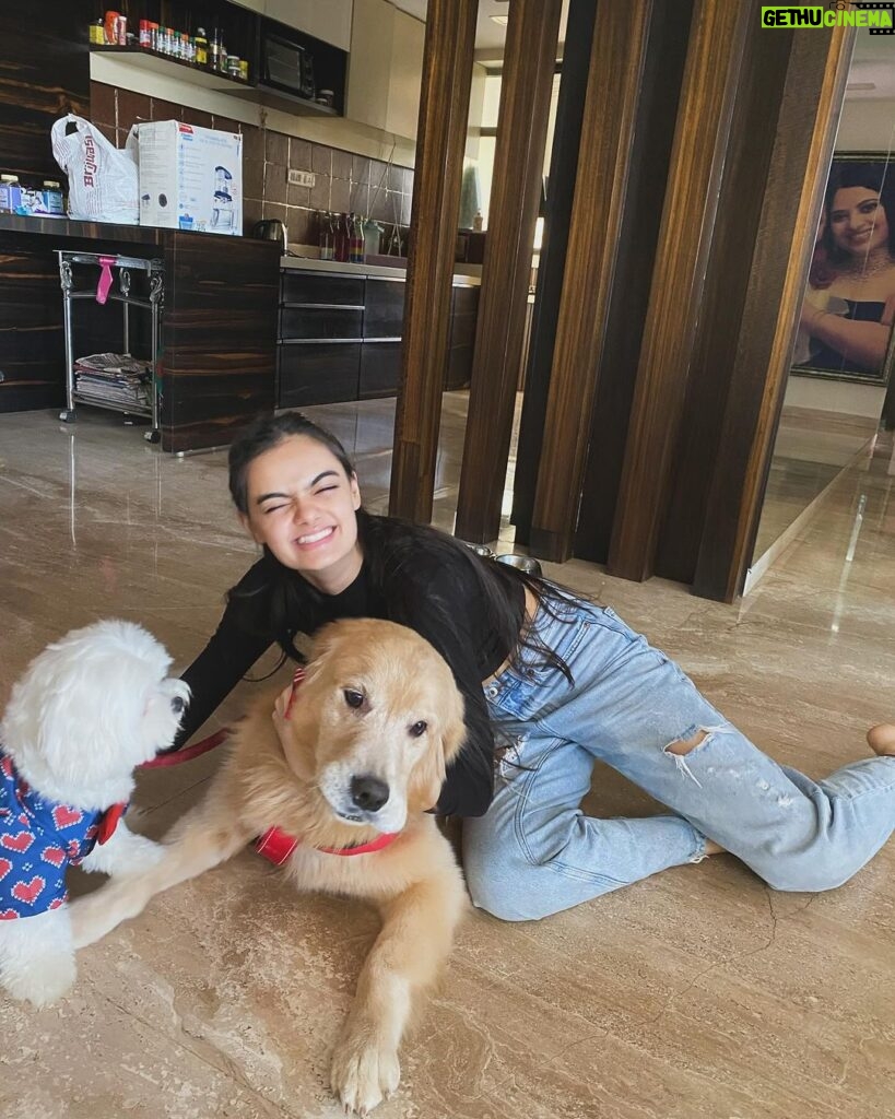 Ruhanika Dhawan Instagram - Pawty time mother puppers! Our Lassi turned one today had to take ito the gram🐾🐾