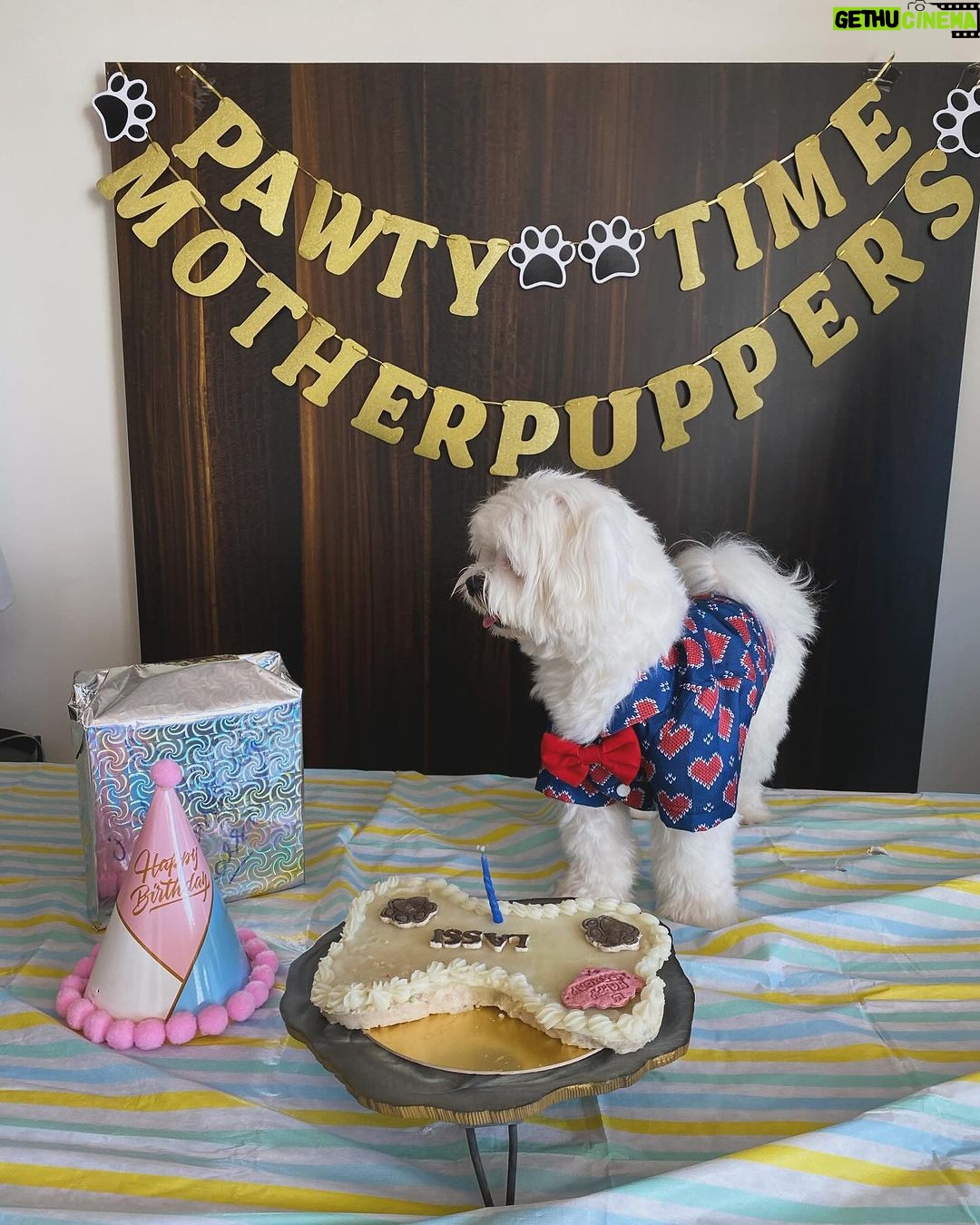 Ruhanika Dhawan Instagram - Pawty time mother puppers! Our Lassi turned one today had to take ito the gram🐾🐾