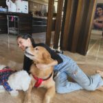 Ruhanika Dhawan Instagram - Pawty time mother puppers! Our Lassi turned one today had to take ito the gram🐾🐾
