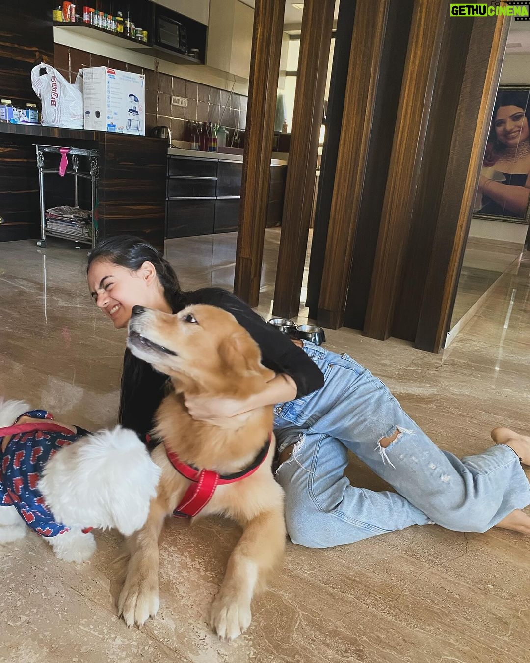 Ruhanika Dhawan Instagram - Pawty time mother puppers! Our Lassi turned one today had to take ito the gram🐾🐾