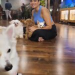Ruhi Chaturvedi Instagram - Kachori, Imli, Chutney, Bhooli, Tumtum aur Main ❤️. Meray New Friends. 🐕🐩🦮🐕‍🦺🐶 . . A evening in HEAVEN at @ohhmydogcafepefe. Go with your pet or all by yourself. These loving babies are gonna LOVE you ENTERTAIN you or will just use you as their sleeping bag.... And you would have best time of your Life. . . . Don't miss the last slide 💕. I never wanted to go home . . #ohhmydog #dogsaremytherapy #lovelovelove