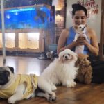 Ruhi Chaturvedi Instagram - Kachori, Imli, Chutney, Bhooli, Tumtum aur Main ❤️. Meray New Friends. 🐕🐩🦮🐕‍🦺🐶 . . A evening in HEAVEN at @ohhmydogcafepefe. Go with your pet or all by yourself. These loving babies are gonna LOVE you ENTERTAIN you or will just use you as their sleeping bag.... And you would have best time of your Life. . . . Don't miss the last slide 💕. I never wanted to go home . . #ohhmydog #dogsaremytherapy #lovelovelove