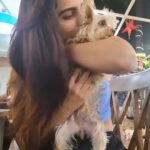 Ruhi Chaturvedi Instagram - Kachori, Imli, Chutney, Bhooli, Tumtum aur Main ❤️. Meray New Friends. 🐕🐩🦮🐕‍🦺🐶 . . A evening in HEAVEN at @ohhmydogcafepefe. Go with your pet or all by yourself. These loving babies are gonna LOVE you ENTERTAIN you or will just use you as their sleeping bag.... And you would have best time of your Life. . . . Don't miss the last slide 💕. I never wanted to go home . . #ohhmydog #dogsaremytherapy #lovelovelove