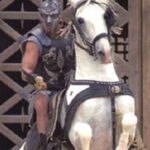 Russell Crowe Instagram - A lifetime of loving horses. That’s all.