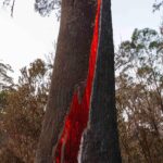 Russell Crowe Instagram - Hey Australia, Just a reminder, we’ve dealt with serious shit before, and we will deal with what confronts us now. Together (minimum 1.5 metres apart).