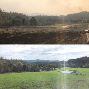Russell Crowe Instagram - My place 10 weeks ago after the fire had gone through, and this morning after a big weekend of rain.