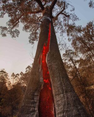 Russell Crowe Instagram - Still burning... they say a wind change might crank things up again in the valley.

I hope wherever you are in Australia, or California or anywhere else facing bushfires , that you and yours remain safe.