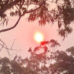 Russell Crowe Instagram - Bushfire sun. Fires to the north, north west, west and Southwest ... not even spring yet ...
