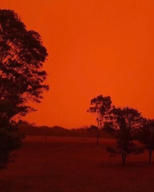Russell Crowe Instagram - Hey Australia,
Just a reminder, we’ve dealt with serious shit before, and we will deal with what confronts us now.
Together (minimum 1.5 metres apart).