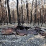 Russell Crowe Instagram - Still burning... they say a wind change might crank things up again in the valley. I hope wherever you are in Australia, or California or anywhere else facing bushfires , that you and yours remain safe.