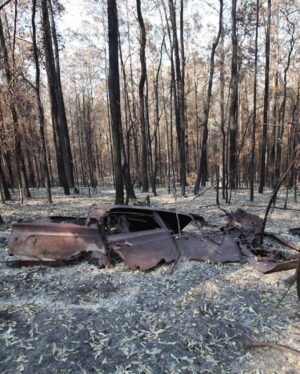 Russell Crowe Instagram - Still burning... they say a wind change might crank things up again in the valley.

I hope wherever you are in Australia, or California or anywhere else facing bushfires , that you and yours remain safe.