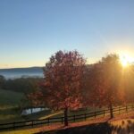 Russell Crowe Instagram - This was my morning . Seems selfish not to share. No filters just an iPhone and magic hour and Australia