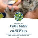 Russell Crowe Instagram - Happy Birthday @carolinerhea4real