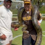Russell Wilson Instagram – My Homie @therealtarzann brought some guests to Sienna’s 6 Yr old bday! Anaconda! 125 lb! Light Work! 🤣😂🤣 🐍