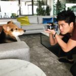 Ryan Higa Instagram - Sometimes you gotta use food to get the perfect shot of your dog. #PetOwnerThings