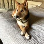 Ryan Higa Instagram - A proper boy 🙂