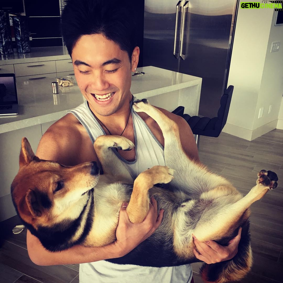 Ryan Higa - 144.3K Likes - Idk if you can tell, but he’s fighting back because he knows he’s bout to be tortured. #BathTime @rokutheshibainu