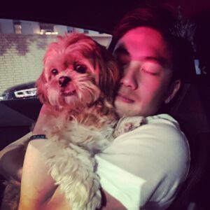 Ryan Higa Instagram - Sometimes I rub other dog’s scents on me before I go home so that my dogs know... I have options. #LoveMeMore #AccidentalTags