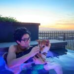 Ryan Higa Instagram - First time getting @rokutheshibainu in the pool... he is not a fan.