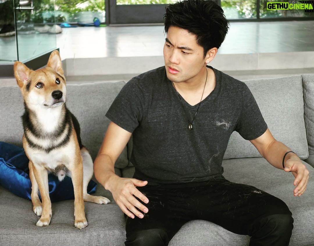 Ryan Higa - 184.2K Likes - “Who left all this hair here!?”
Roku begins whistling.