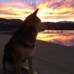 Ryan Higa Instagram - “Sometimes I wonder... could it be that I’m the good boy?”
