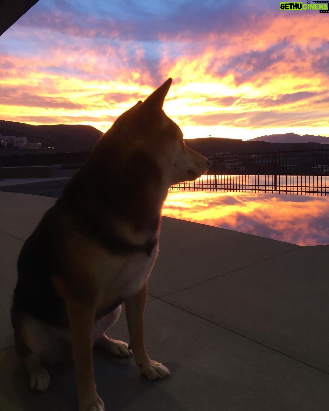 Ryan Higa - 164.5K Likes - “Sometimes I wonder... could it be that I’m the good boy?”