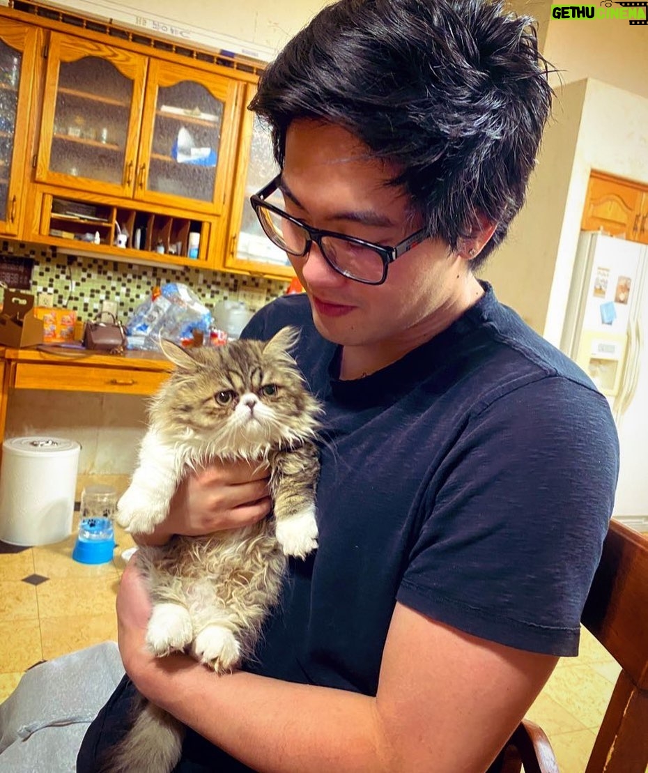 Ryan Higa - 213K Likes - Cat Daddy.
