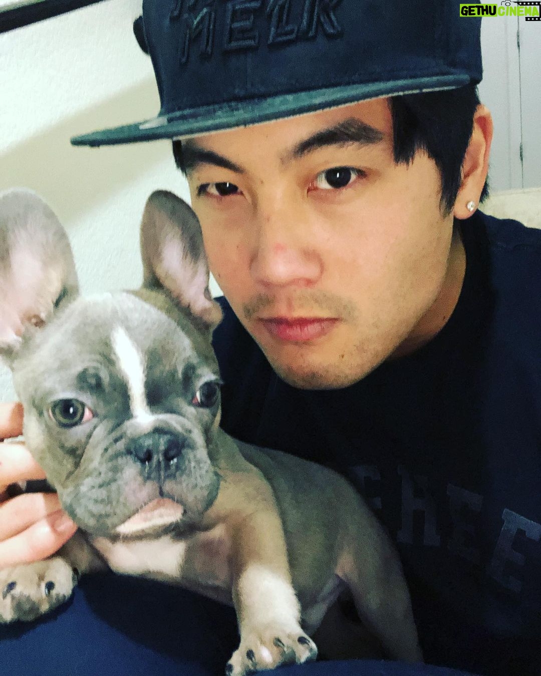 Ryan Higa Instagram - My bro and sis-in-law just got the cutest little rabbit