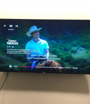 Ryan Higa Instagram - I have a newfound respect for people who can ride horses at full speed... check out “Finding Ohana” on Netflix! I may or may not make the tiniest cameo looking COMPLETELY comfortable on a sprinting horse. Congrats on the success! @judeweng @kellyhu @alexaiono @keapeahuofficial @lindsayyywatson @owenvaccaro