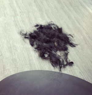 Ryan Higa Instagram - Amazing how big a difference one little haircut can make... I now have 20/20 vison. Thanks @aumiriebalayage