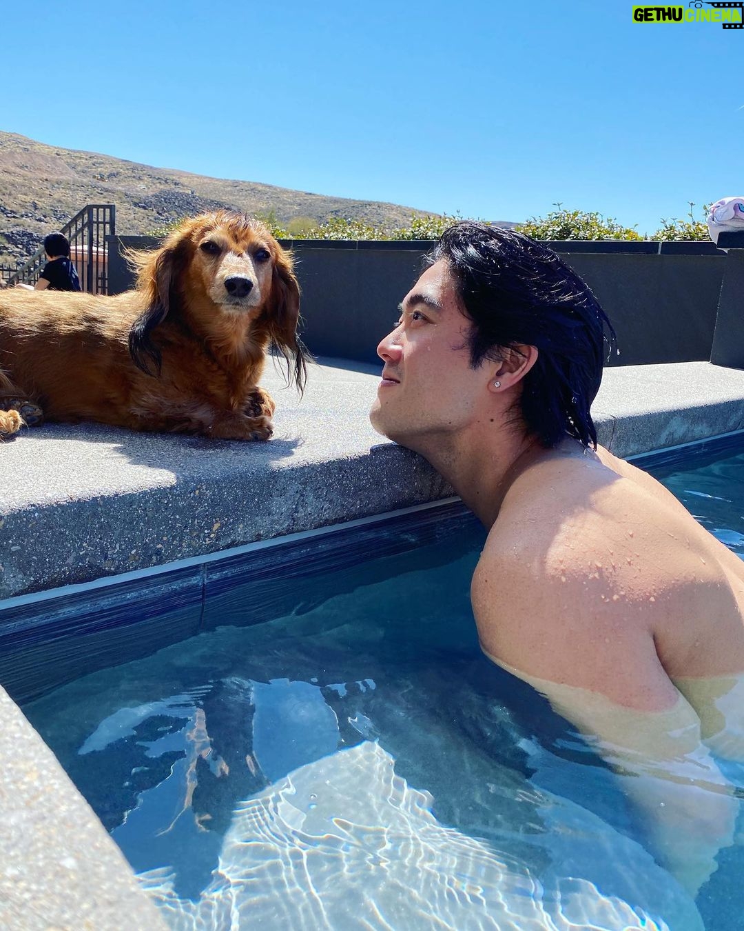 Ryan Higa - 237.4K Likes - Our once a year pool day..