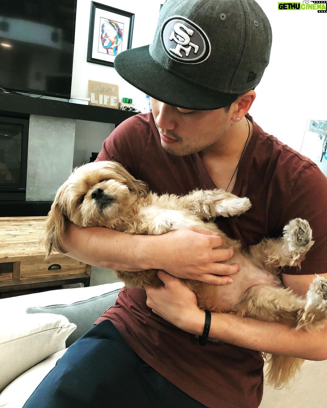 Ryan Higa Instagram - Posting this to make my dogs jealous... but still #faithful