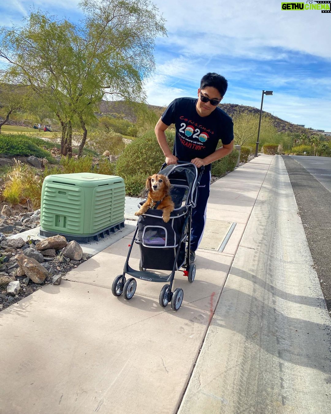 Ryan Higa - 159.6K Likes - New whip for his 15th bday. Arthritis can’t stop @therealmarleyhiga now!