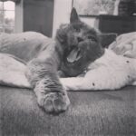 Ryan Kelley Instagram – Is it Friday yet?