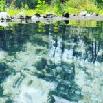 Ryan Phillippe Instagram - the rocky uphill hike was well worth the warm woodland baptism that followed 🙏 McCauley Warm Springs