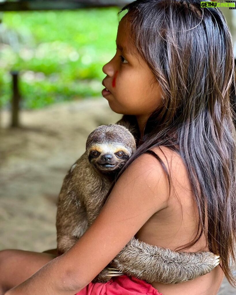 Ryan Phillippe Instagram - One of my favorite photos from a near month long, transformative, odyssey in South America. I will share more, but felt like posting this one, tonight, while on my flight back to the US. I hope it makes someone smile who might need it. A gentle reminder of how beautiful and special life truly is. The Amazon Rainforest