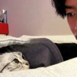 Ryeoun Instagram -