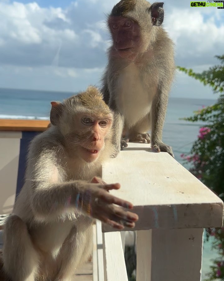 Rym Renom Instagram - Simple things 🤍 Uluwatu, Bali, Indonesia