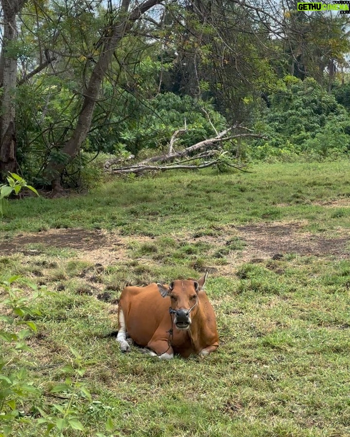 Rym Renom Instagram - De Marruecos a Bali 🤍 Bali, Indonesia