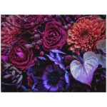 Ryoma Takeuchi Instagram - Reset and Absorption💙💜 #leicasl2s #aposummicron50