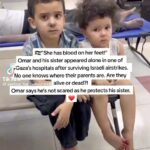 Saba Mubarak Instagram - How is bombing a #hospital self defense, or a reaction?!!!! World WAKE-UP There wasn’t even a survivor not even one… #STOP #ENOUGH #genocide #gaza #gazaunderattack Shame on you for trying to shut us up , DO YOU SLEEP AT NIGHT
