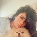 Saba Mubarak Instagram - ‏!! 😍 He is just so damn cute sometimes و باقي الوقت مزعج و مفكر حالو كلب حراسة و مجنن البيت و اهلو و الضيوف ، و بدو attention ٢٤ ساعة ، و تافه .. بس بحبو #كوكي