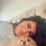 Saba Mubarak Instagram - ‏!! 😍 He is just so damn cute sometimes و باقي الوقت مزعج و مفكر حالو كلب حراسة و مجنن البيت و اهلو و الضيوف ، و بدو attention ٢٤ ساعة ، و تافه .. بس بحبو #كوكي