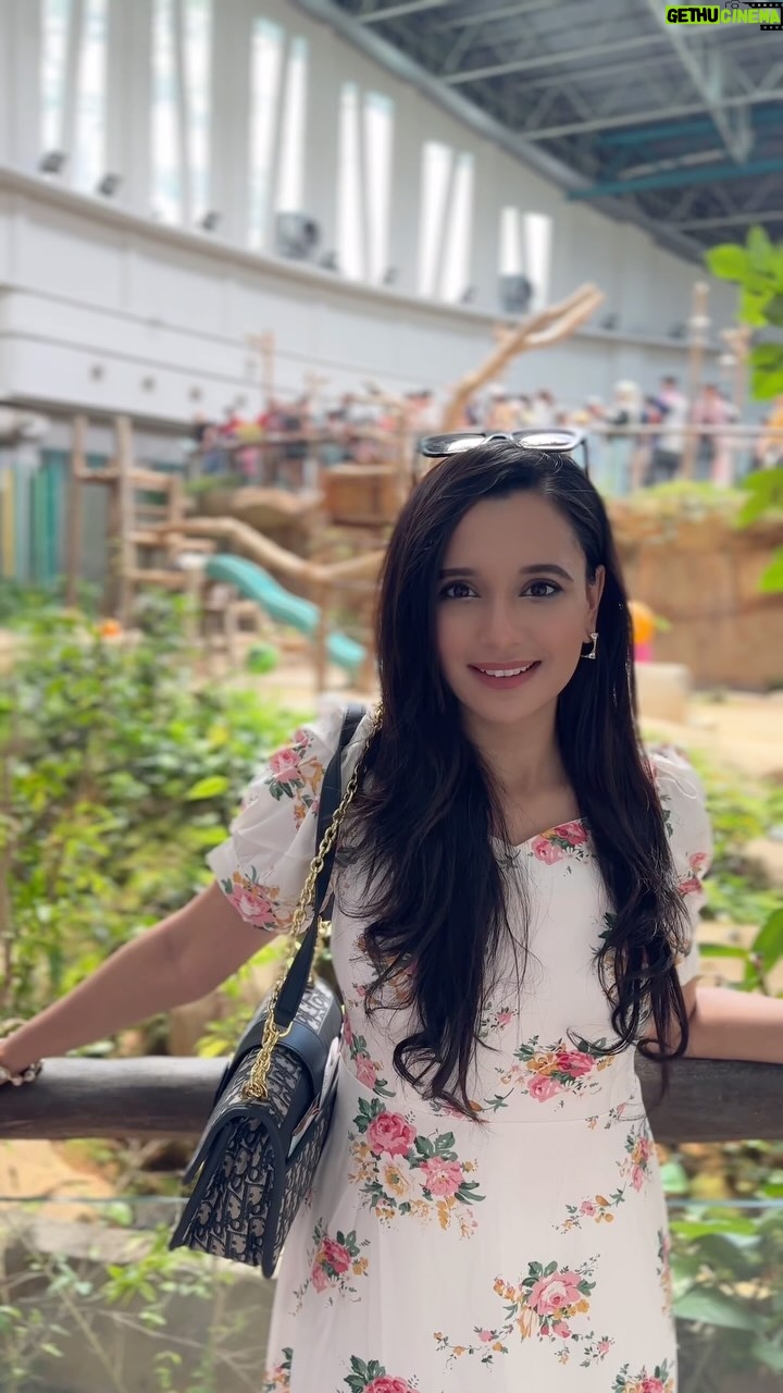 Sabila Nur Instagram - Day out with pandas 🐼❤️ Giant Panda Conservation Complex